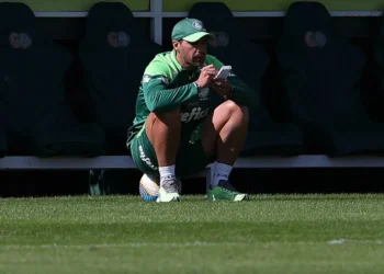 Verdão, equipe de Abel Ferreira, time alviverde';