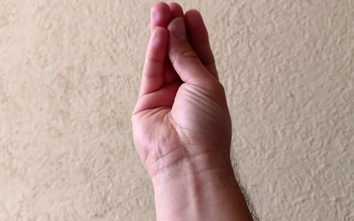 mutação, adaptação, transformação;