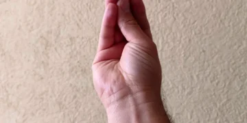 mutação, adaptação, transformação;