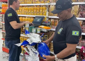 verificação, monitoramento, controle;