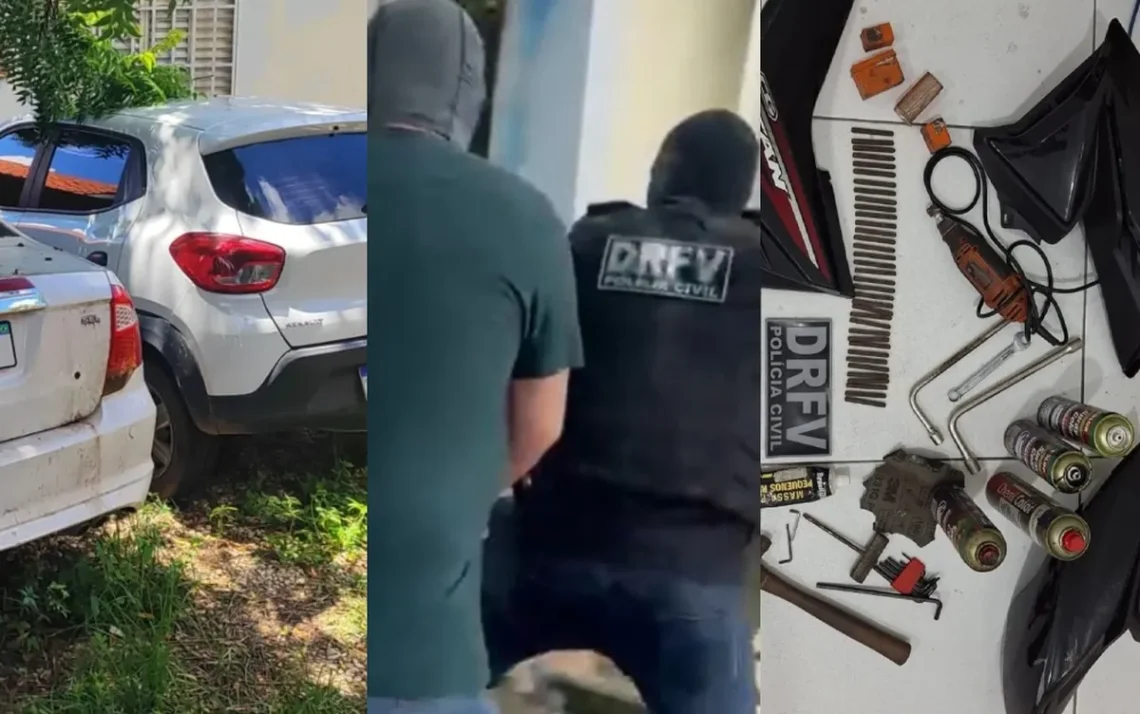 autoridade, segurança, policial';