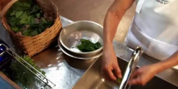 complementos, aditivos, nutrientes, vitaminas';