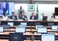 ensino, aprendizado, instrução';
