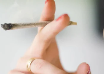 cannabis, droga, psicodélico, substância, planta;