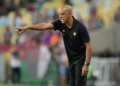 Treinador, Professor, Comissão técnica;