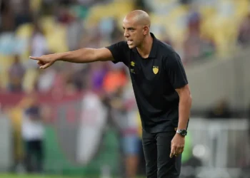 Treinador, Professor, Comissão técnica;