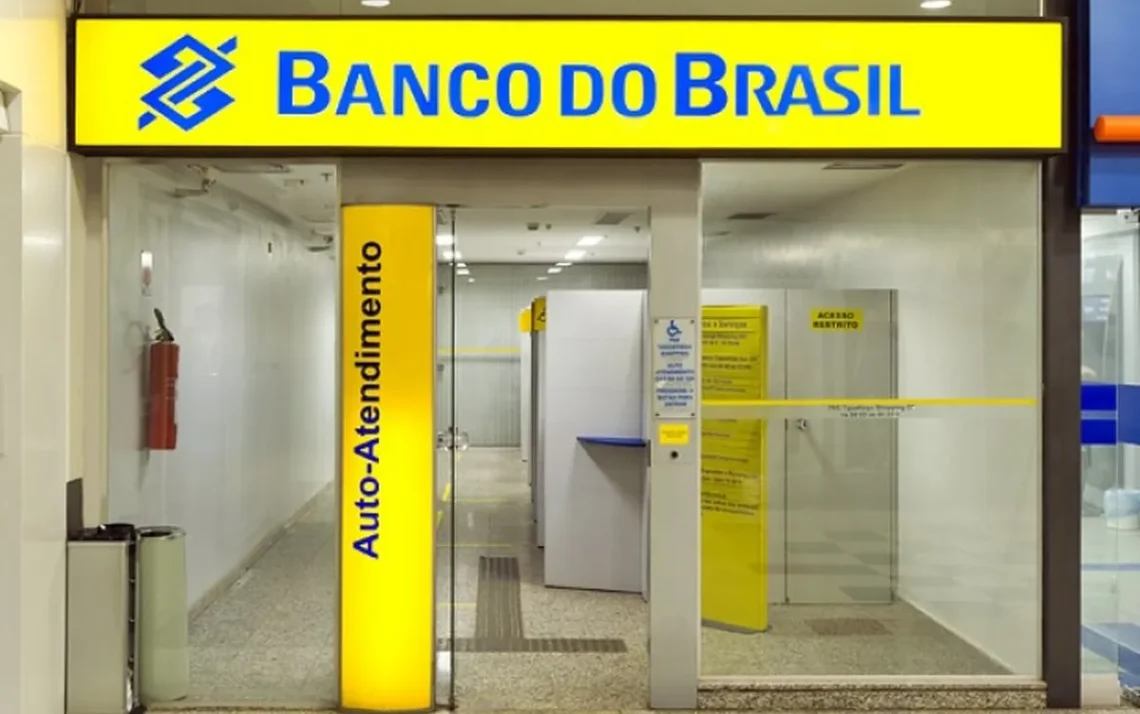 instituição financeira, empresa bancária, banco estatal';