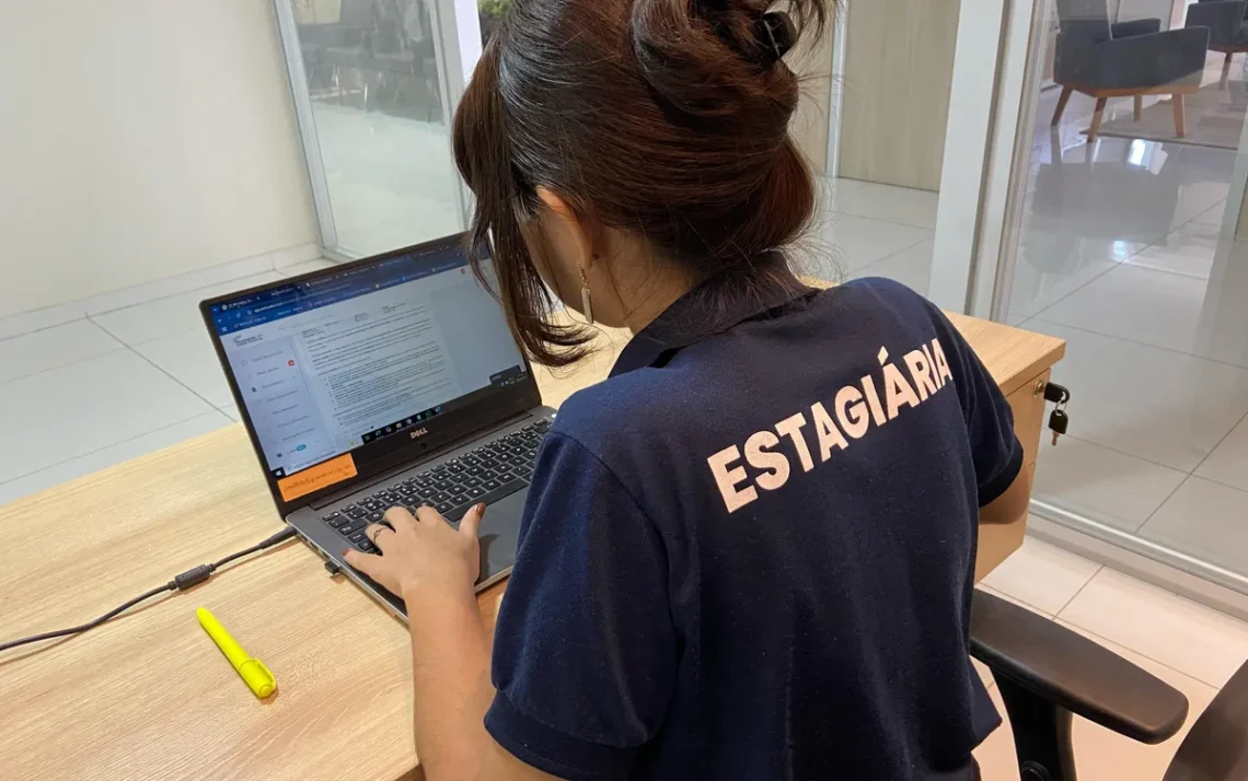 trabalho, profissão, carreira;