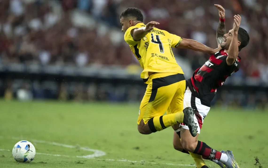 rubro-negros, time, equipe';