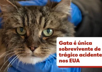 vencedor, superavitário, resgatado;