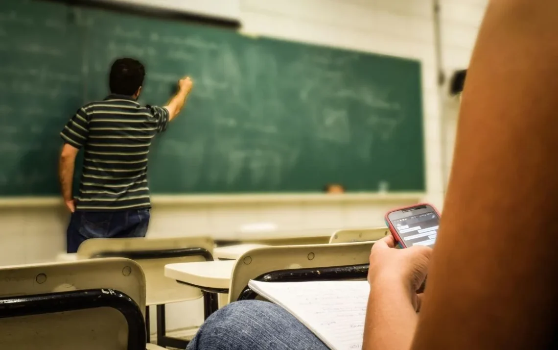 graduação, formação, educação;