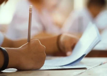 cadastros, matrículas, registros, solicitações';