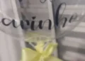 genitora, progenitora, pai;