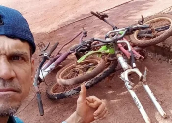 ecologista, defensor do meio ambiente, ativista ambiental;
