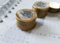 investidor, acionista, financiador;
