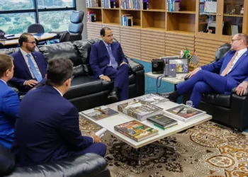 Ordem dos Advogados, Advocacia, Advogados';