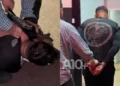autoridade, segurança, força policial;