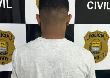 autoridade, segurança, força policial;