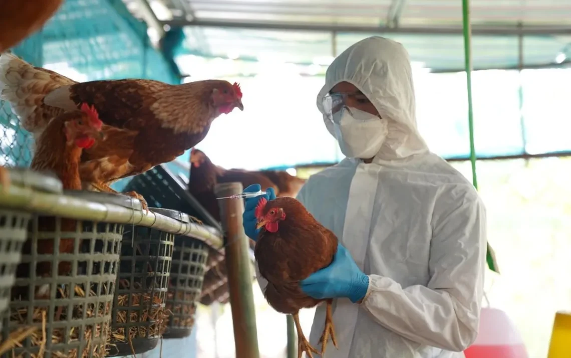 influenza, doença viral;