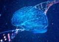 demência, doença neurodegenerativa, perda de memória;