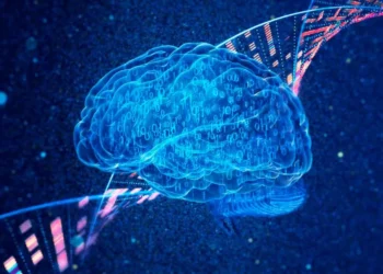 demência, doença neurodegenerativa, perda de memória;