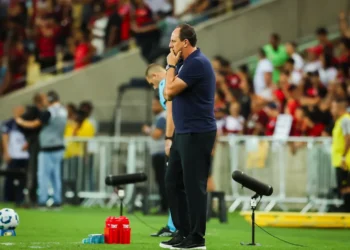 treinador, técnico, comandante;