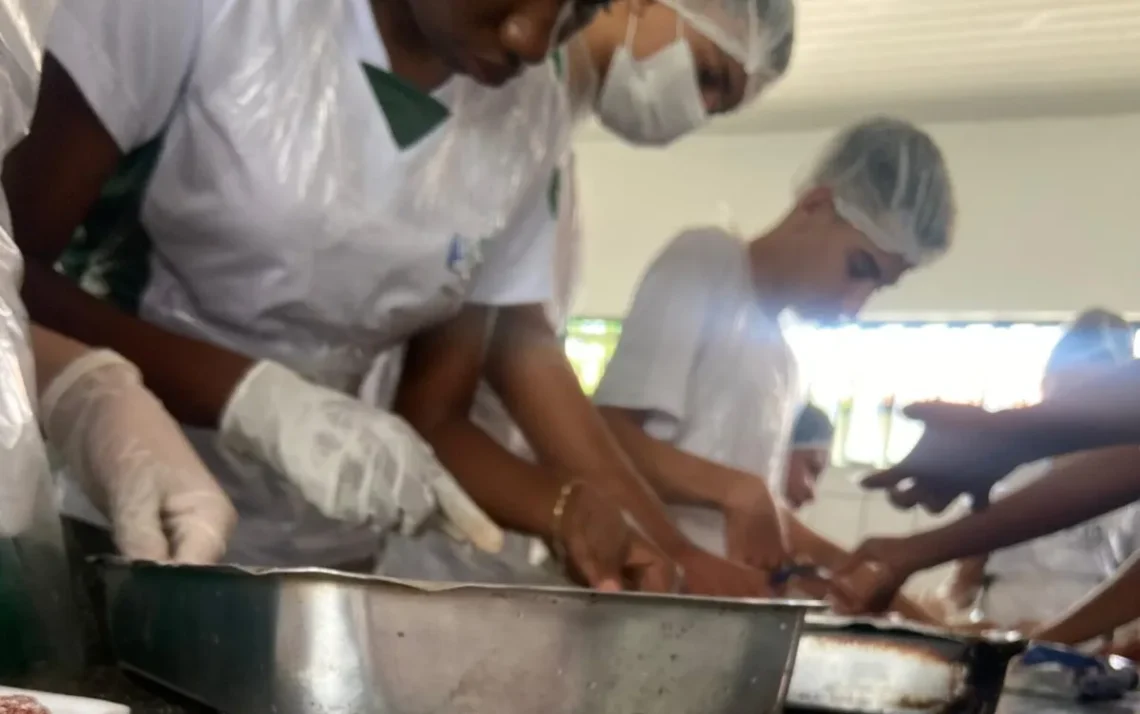 Treinamento, Educação, Formação, Desenvolvimento;