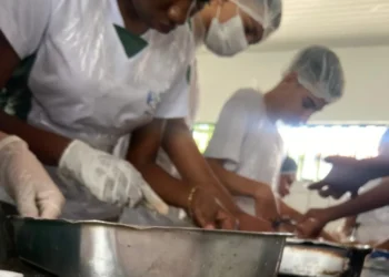 Treinamento, Educação, Formação, Desenvolvimento;