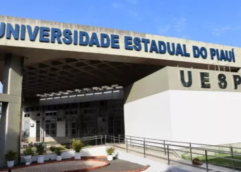 Universidade Estadual, Instituição de Ensino, Estabelecimento de Educação;
