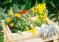 vegetação, jardim, flora';