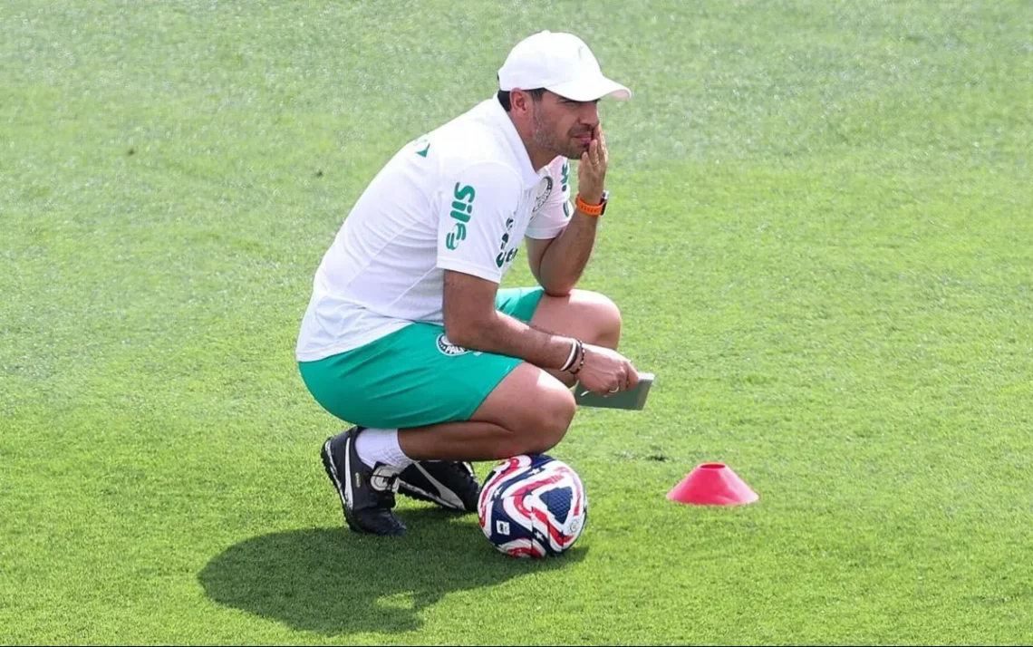 time, clube, Alviverde, Verdão, palestrinos';