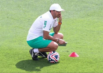 time, clube, Alviverde, Verdão, palestrinos';