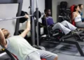 ganhar músculos, massa muscular, desenvolvimento muscular';