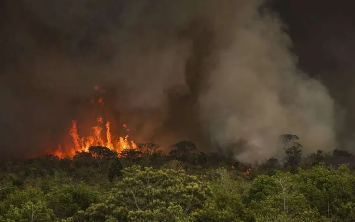 destruição, devastação, derrubada;
