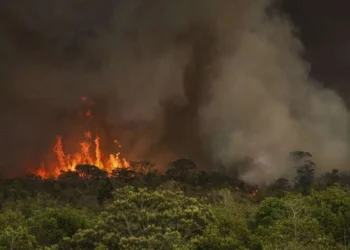 destruição, devastação, derrubada;