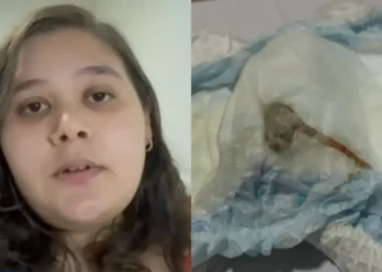 proteção, higiene, absorvente';