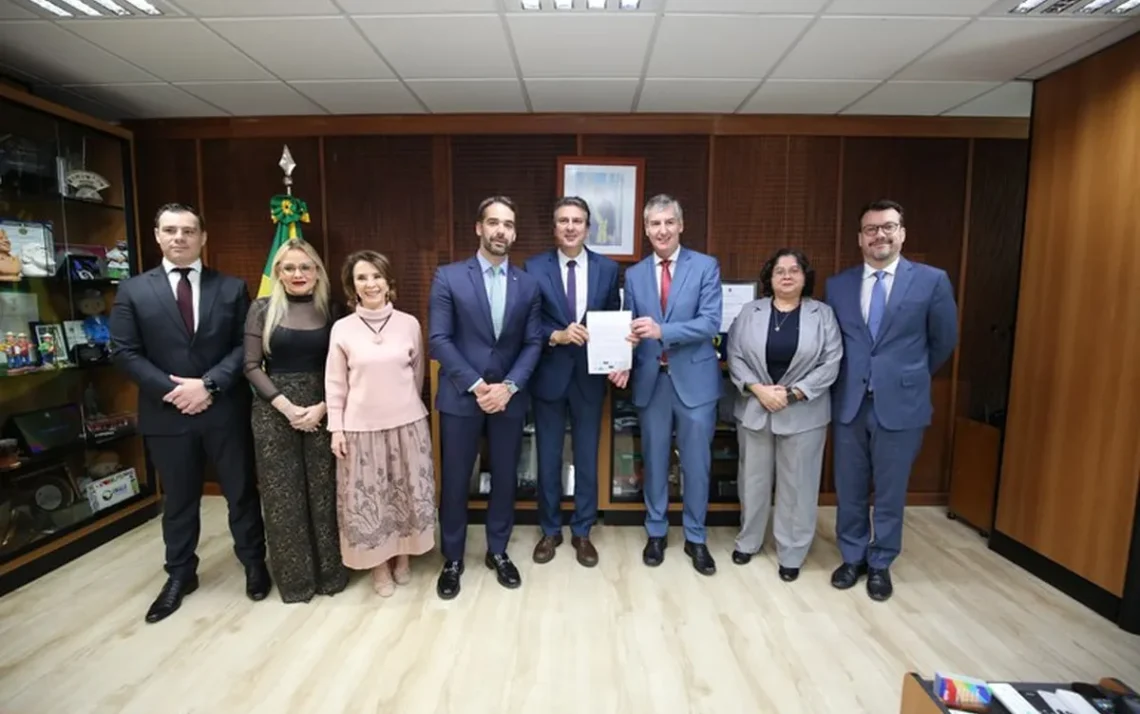 programa, iniciativa, política';