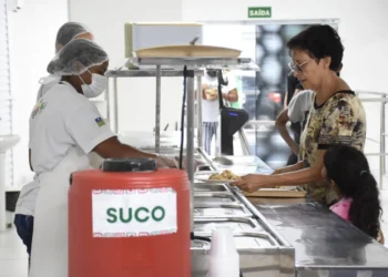 refeições, alimentação, nutrição;