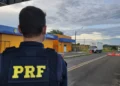 condutor, caminhoneiro, transportador;