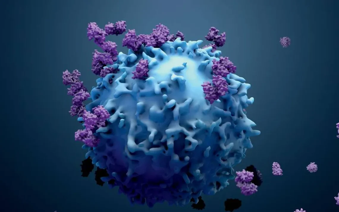 Tumor, Neoplasia, Doença oncológica;